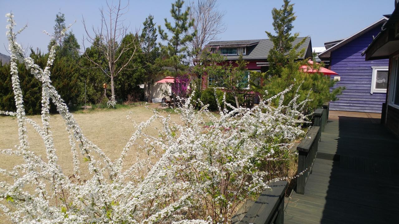 Windflower Villa Gyeongju Buitenkant foto